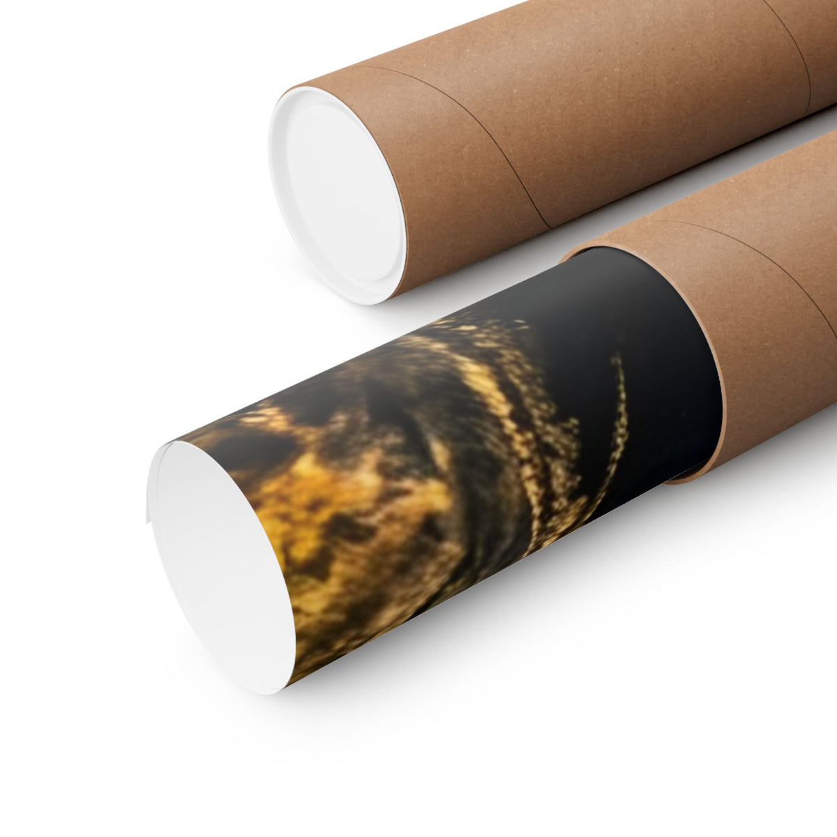 Muskie Drop-Off Chase Poster — Trophy Underwater Wall Art for Anglers