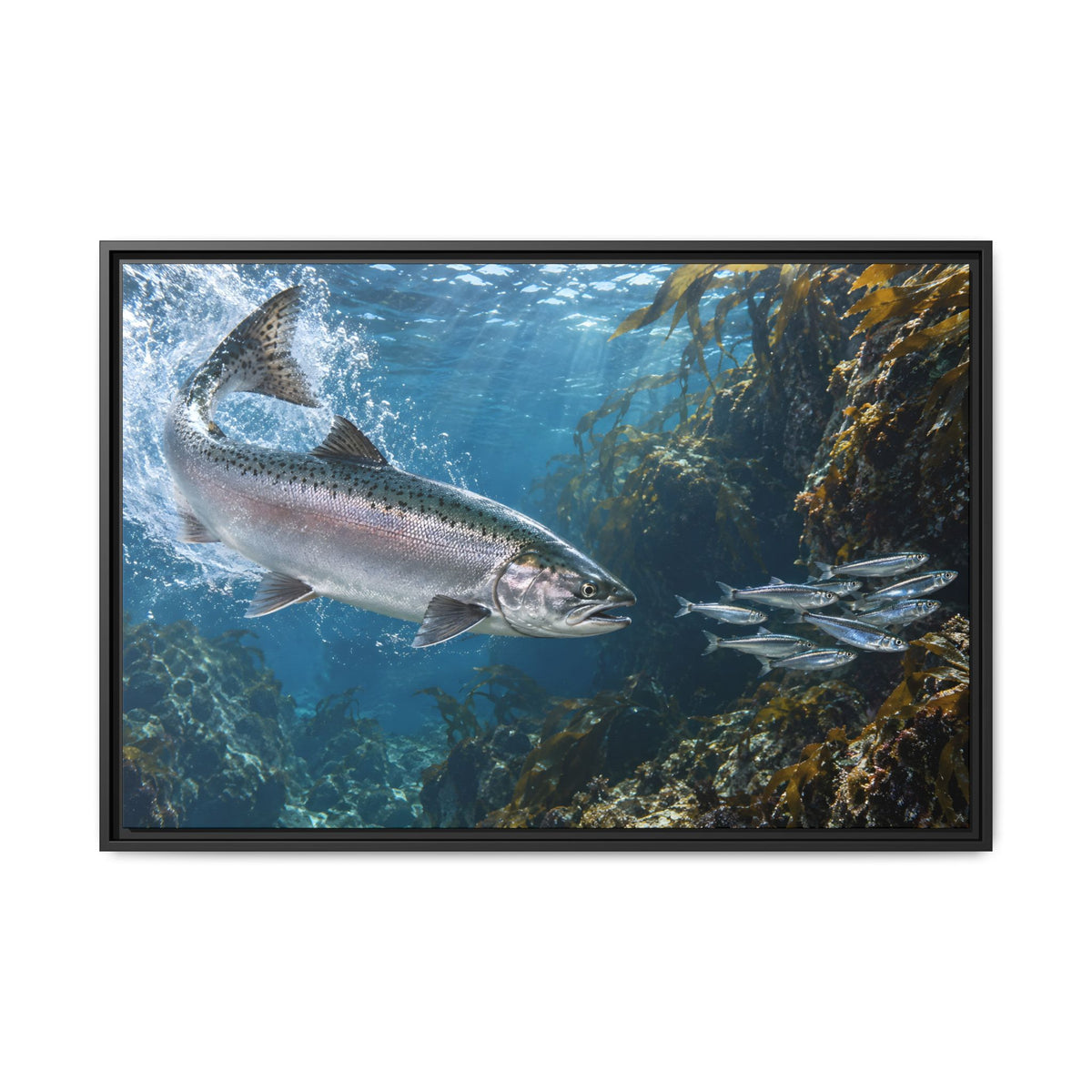 Silver Torpedo Chinook Salmon framed canvas wall art