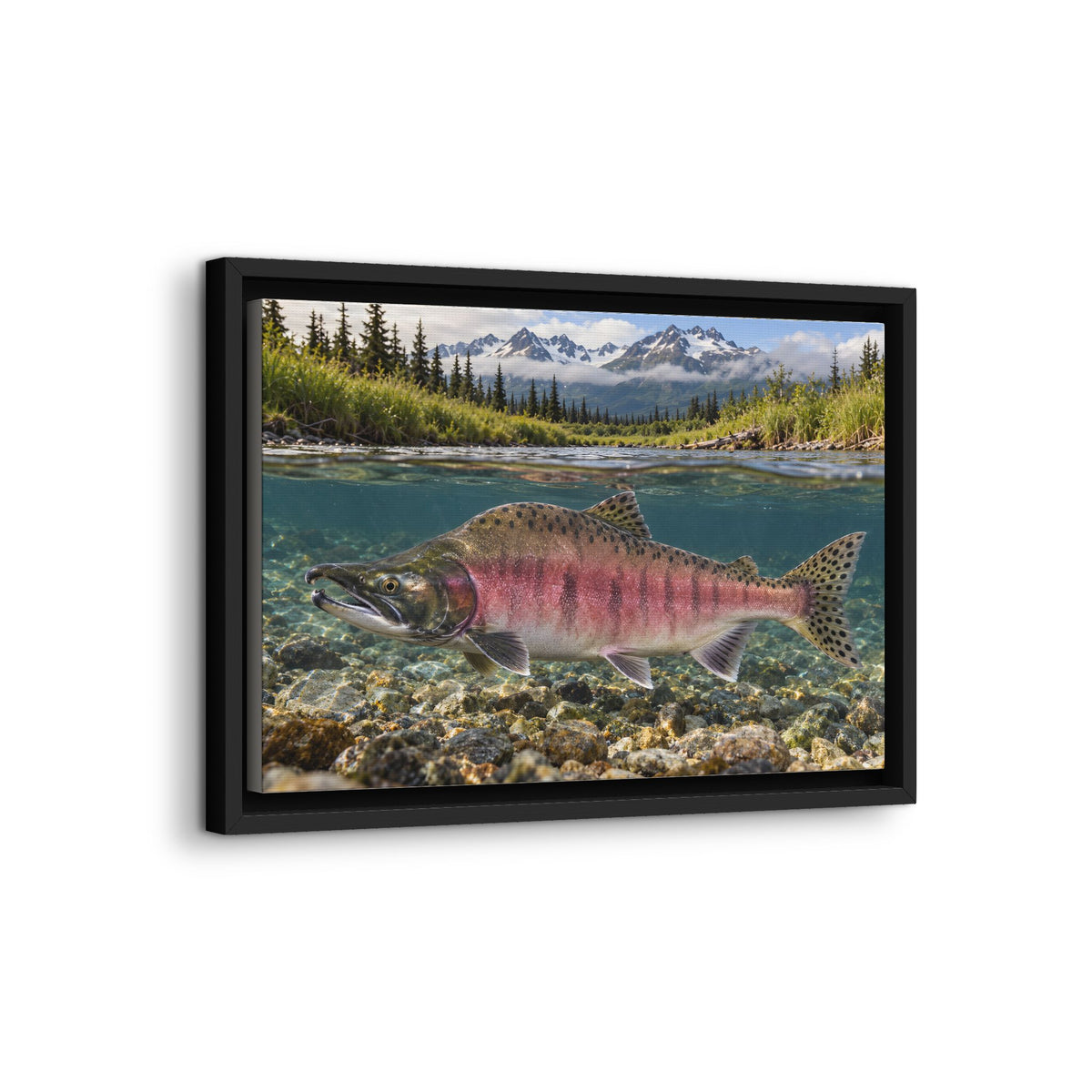 Alaska Creek Pink Salmon framed canvas wall art, view 4