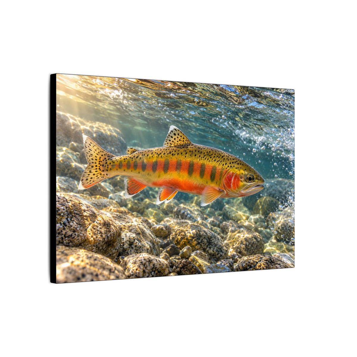 Sierra Sunrise Golden Trout canvas wall art, view 4