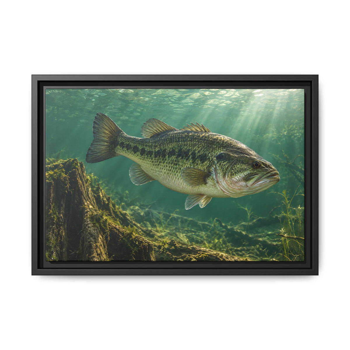Jade Morning Mist Largemouth Bass framed canvas, 24x16 size view