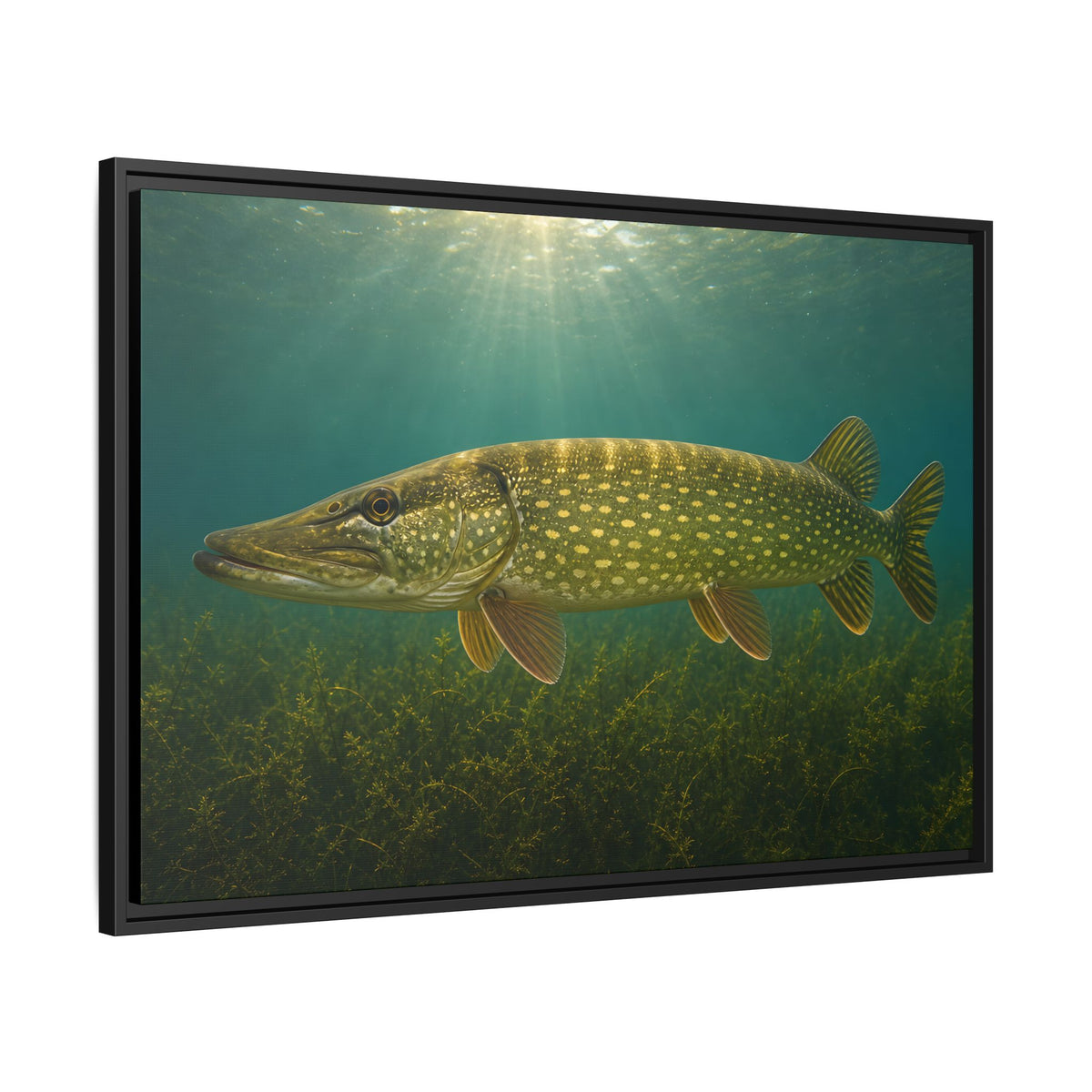 Over the Weed Bed Northern Pike framed canvas side angle