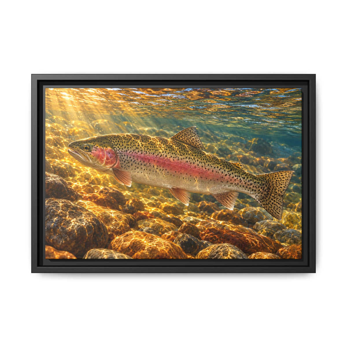 Golden Riffle Rainbow Trout framed canvas wall art – photo 2