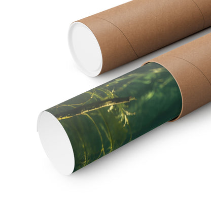 Jade Morning Mist Largemouth Bass poster shipped rolled in a protective tube
