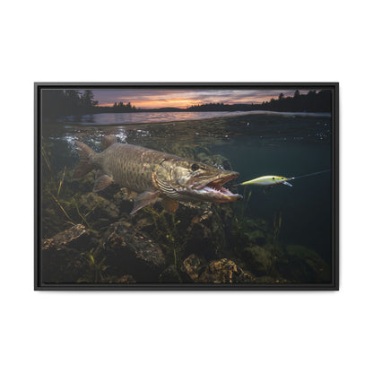Chartreuse Sunset Jerkbait Strike Muskie framed canvas, 18x12 size view