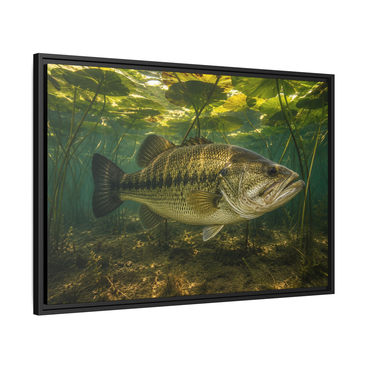 Lily Pad Shade Largemouth Bass framed canvas side angle