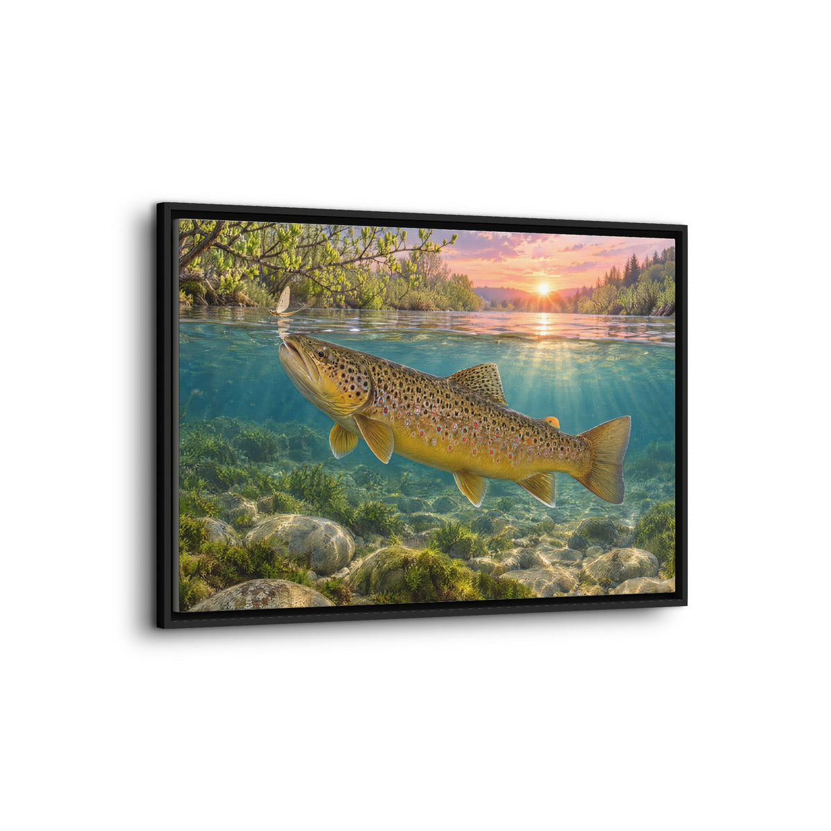 Sunrise River Brown Trout framed canvas wall art, view 4