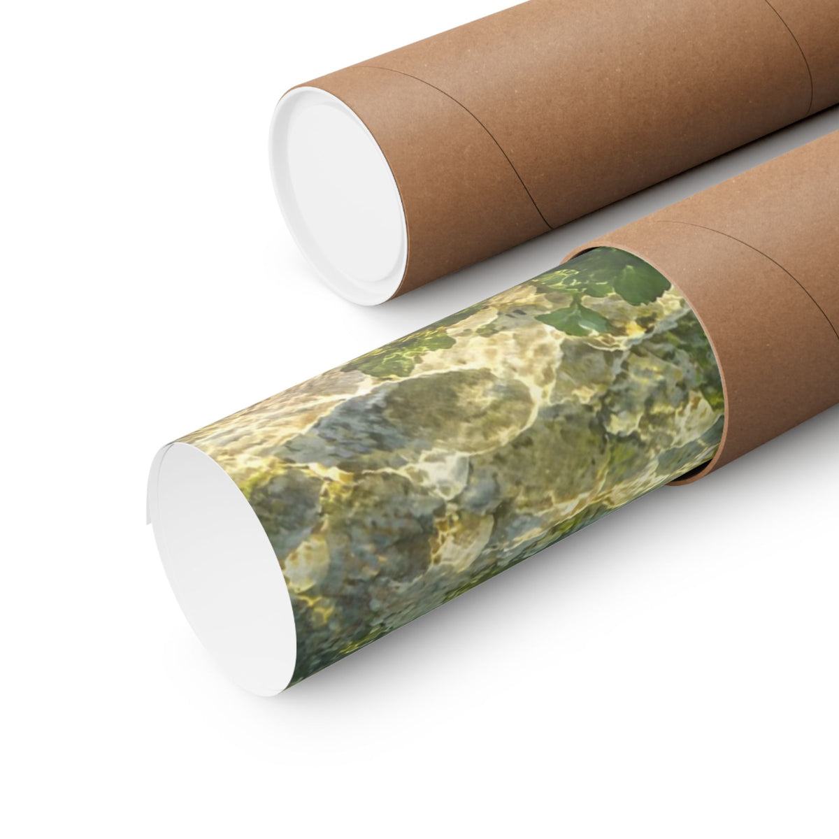 Winter Spring Creek Brown Trout poster shipped rolled in a protective tube