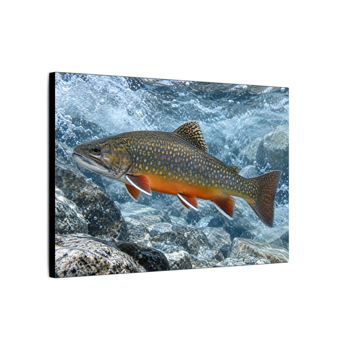 Snowmelt Run Brook Trout canvas wall art, view 4