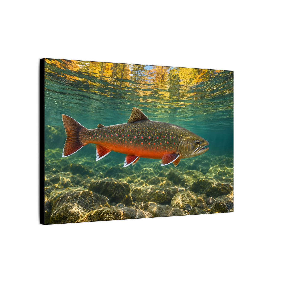 Autumn Reflections Dolly Varden canvas wall art, view 4