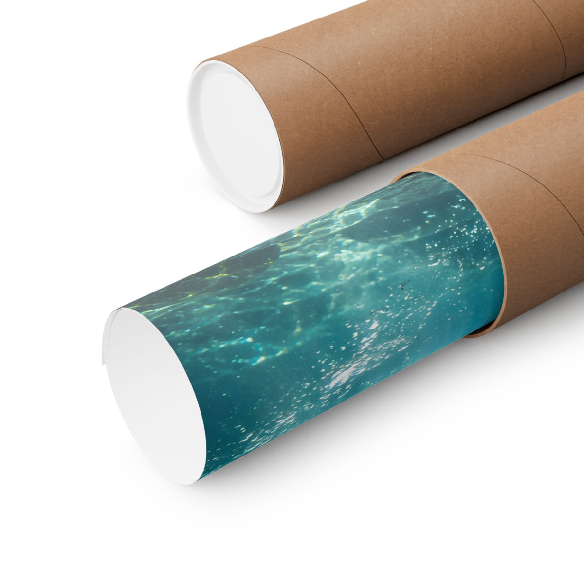 Beneath Alaskan Falls Pink Salmon poster wall art, view 5