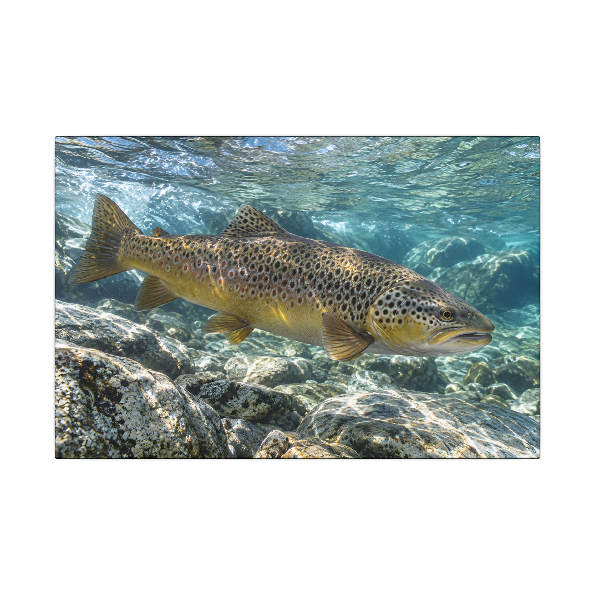 Emerald Undercut Brown Trout canvas wall art