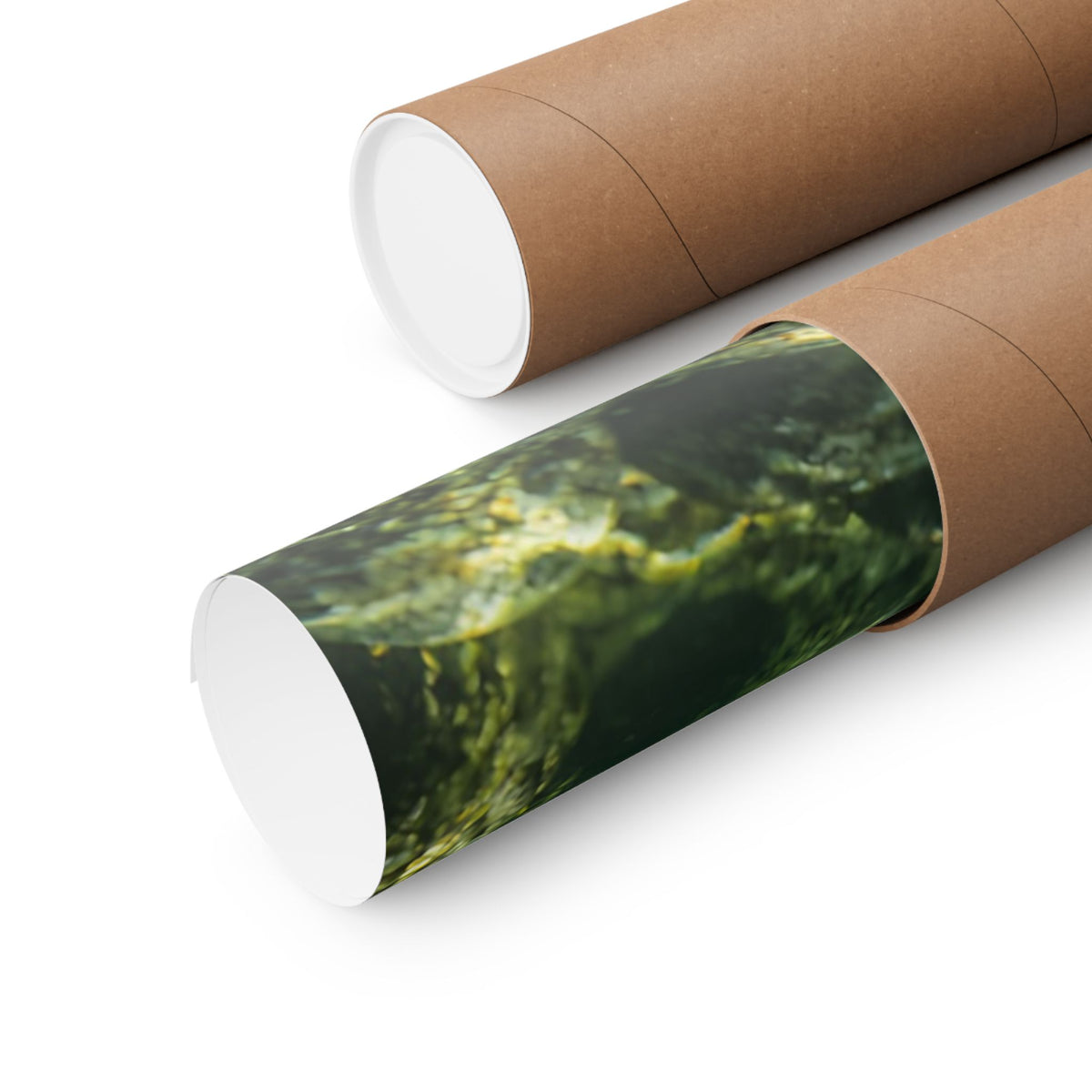 Autumn Passage Salmon poster wall art, view 5