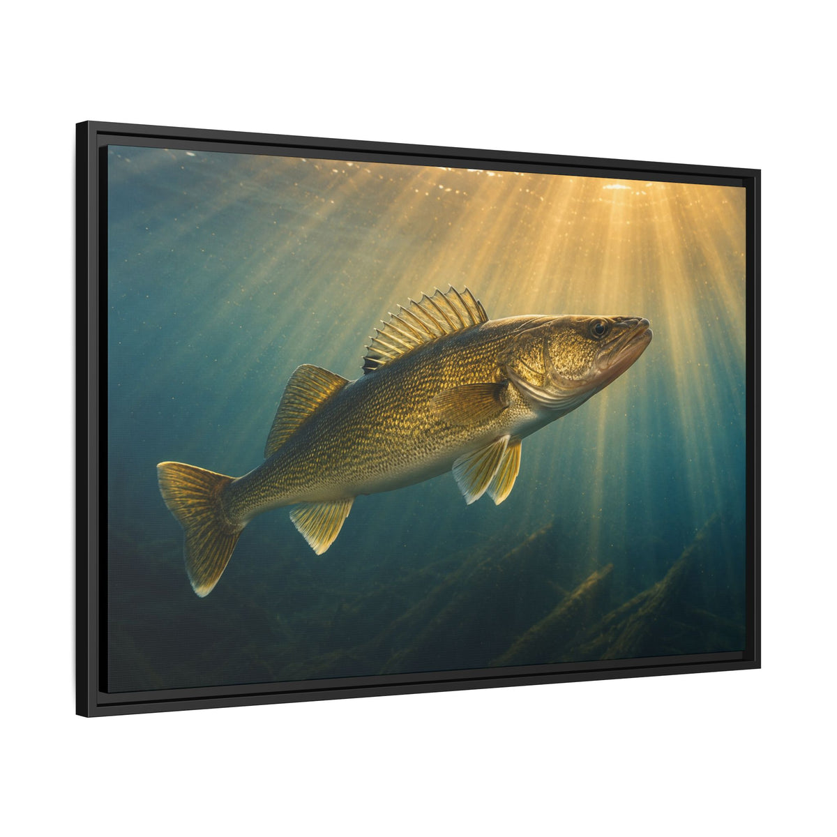 Backlit Sunbeam Cruise Walleye framed canvas side angle