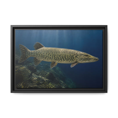 Blue Water Muskie Cruiser framed canvas, 24x16 size view