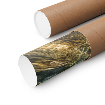 Smallmouth Bass (Micropterus dolomieu) in the Current Seam — Matte Horizontal Wall Art for Anglers