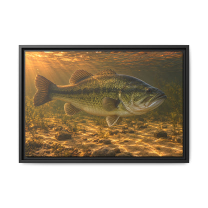Copper Evening Flats Largemouth Bass framed canvas, 36x24 size view
