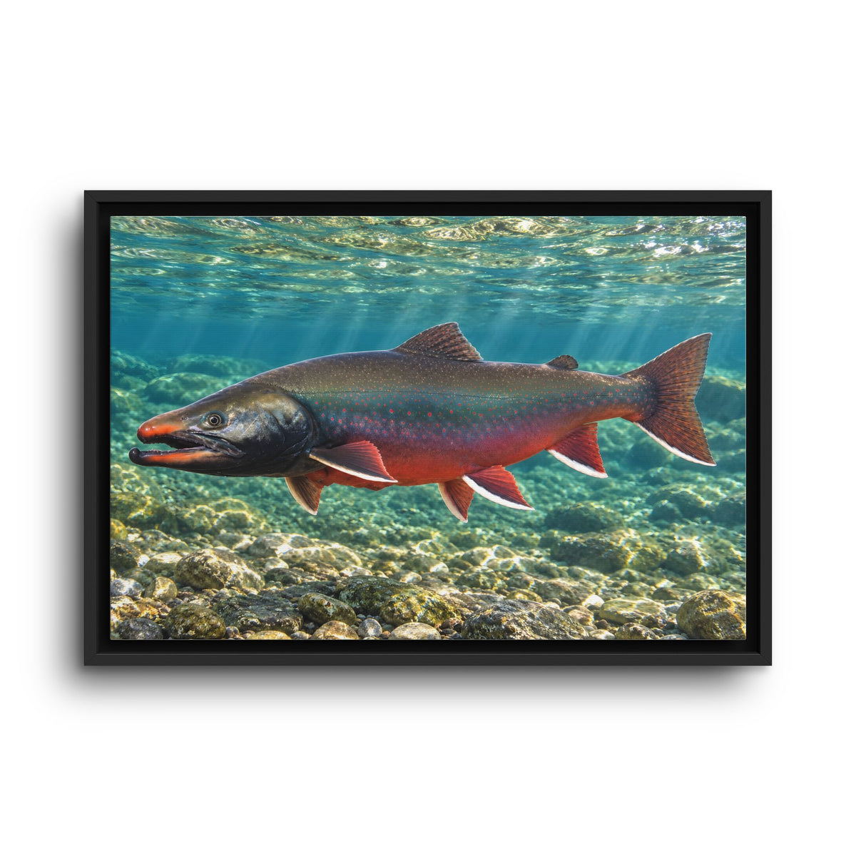 Sunlit Waters Dolly Varden framed canvas wall art, view 2
