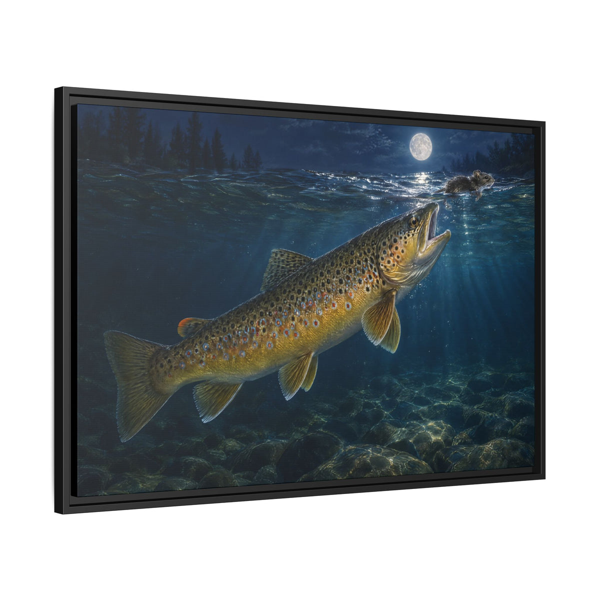 Midnight Mouse Brown Trout framed canvas side angle