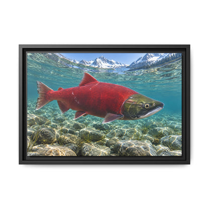 Ruby of the Shallows Sockeye Salmon framed canvas wall art, view 2