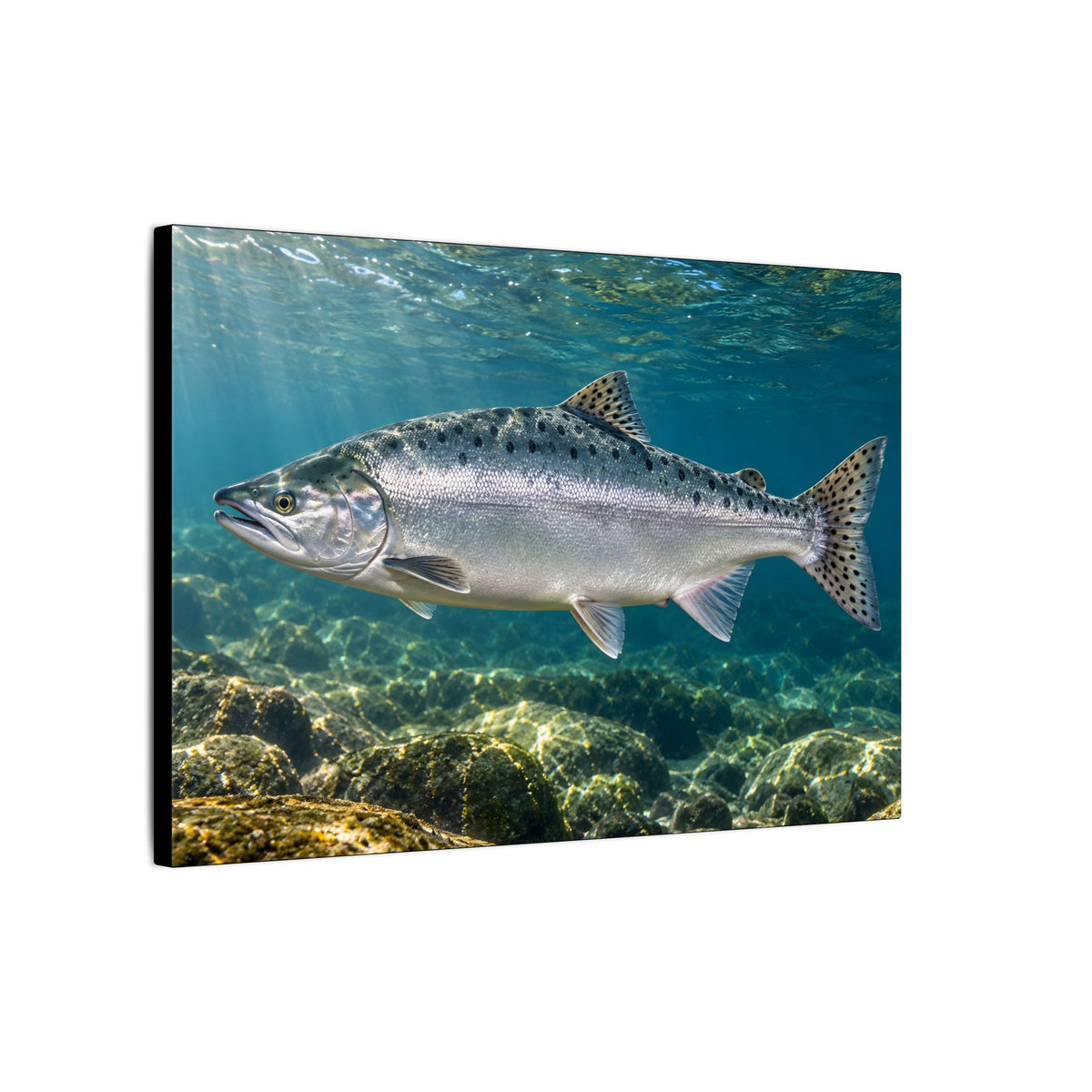 Silver Tide Pink Salmon canvas wall art, view 4