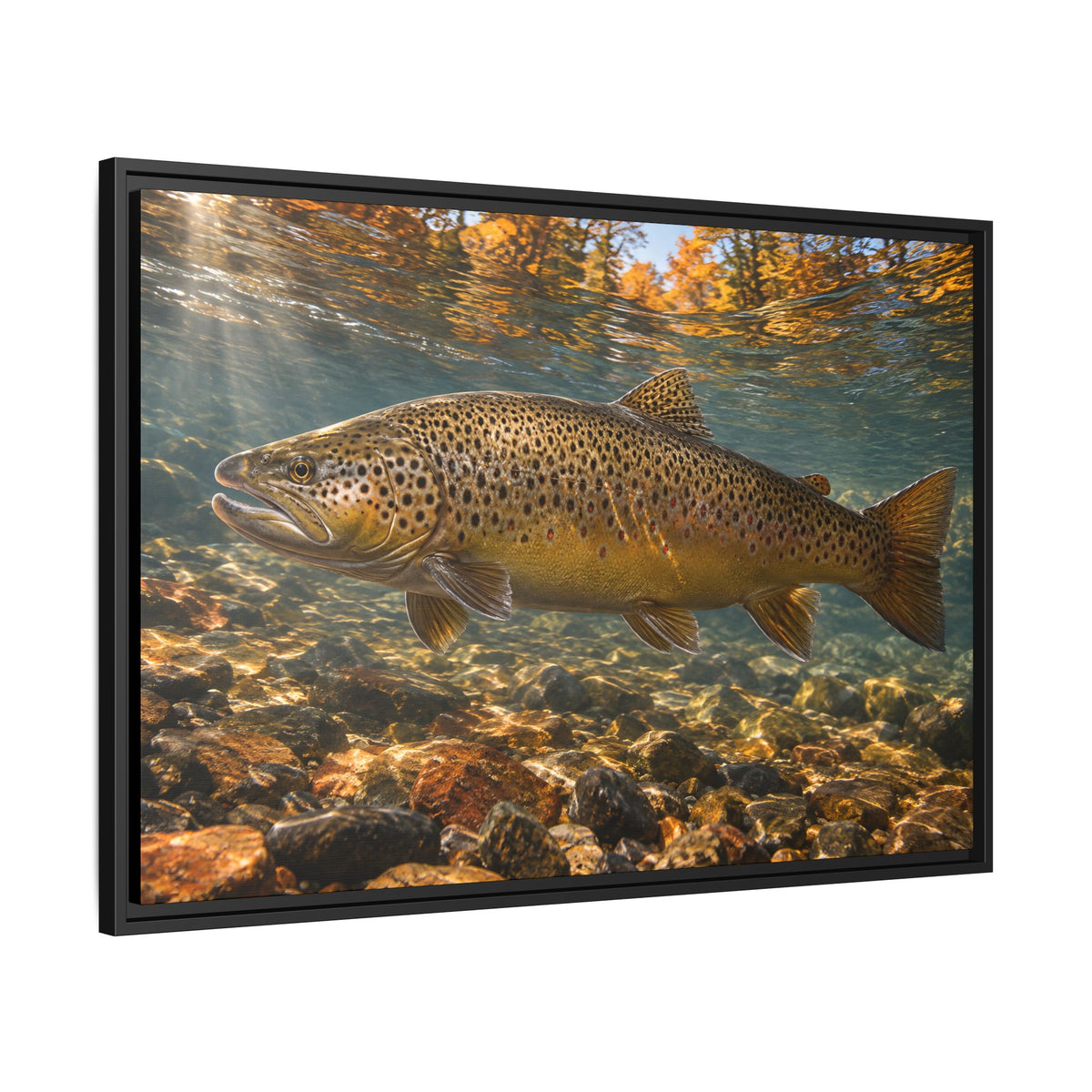 River of Copper Brown Trout framed canvas wall art, view 4