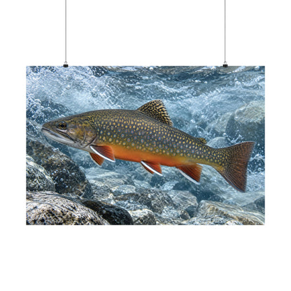 Snowmelt Run Brook Trout poster wall art, view 3