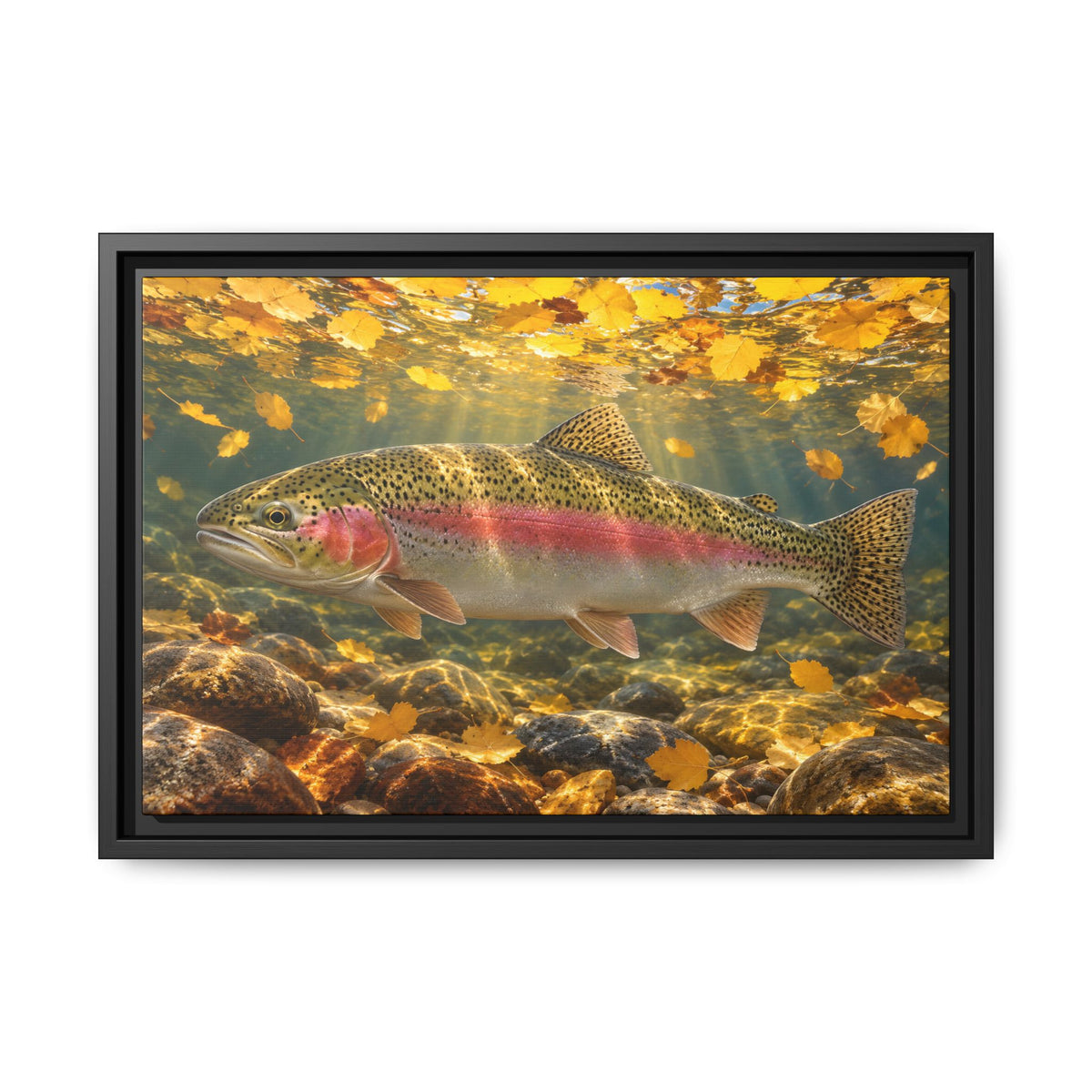 Aspen Gold Rainbow Trout framed canvas wall art – photo 2