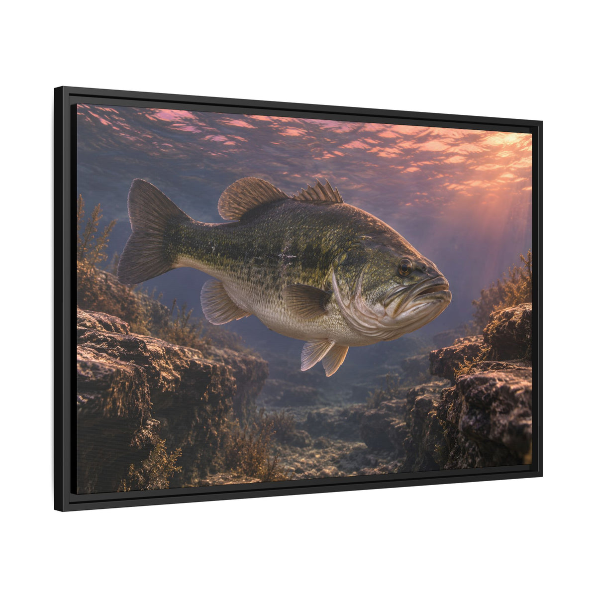 Rose-Gold Dusk Channel Largemouth Bass framed canvas side angle