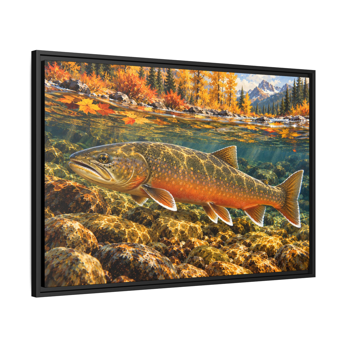 Autumn Char Bull Trout framed canvas, side angle