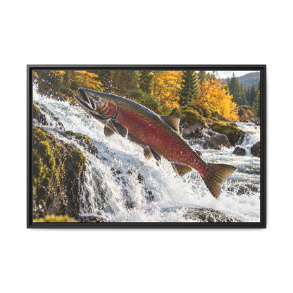 Autumn Run Leap Coho Salmon framed canvas, 36x24 size view