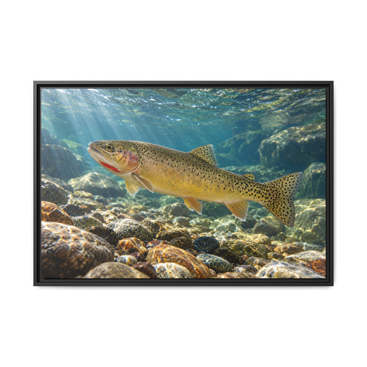 Westslope Riffle Cutthroat Trout framed canvas, 36x24 size view