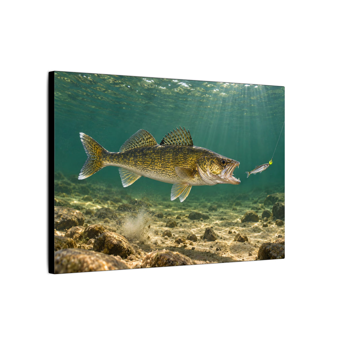 Jig and Minnow Strike Walleye canvas side angle