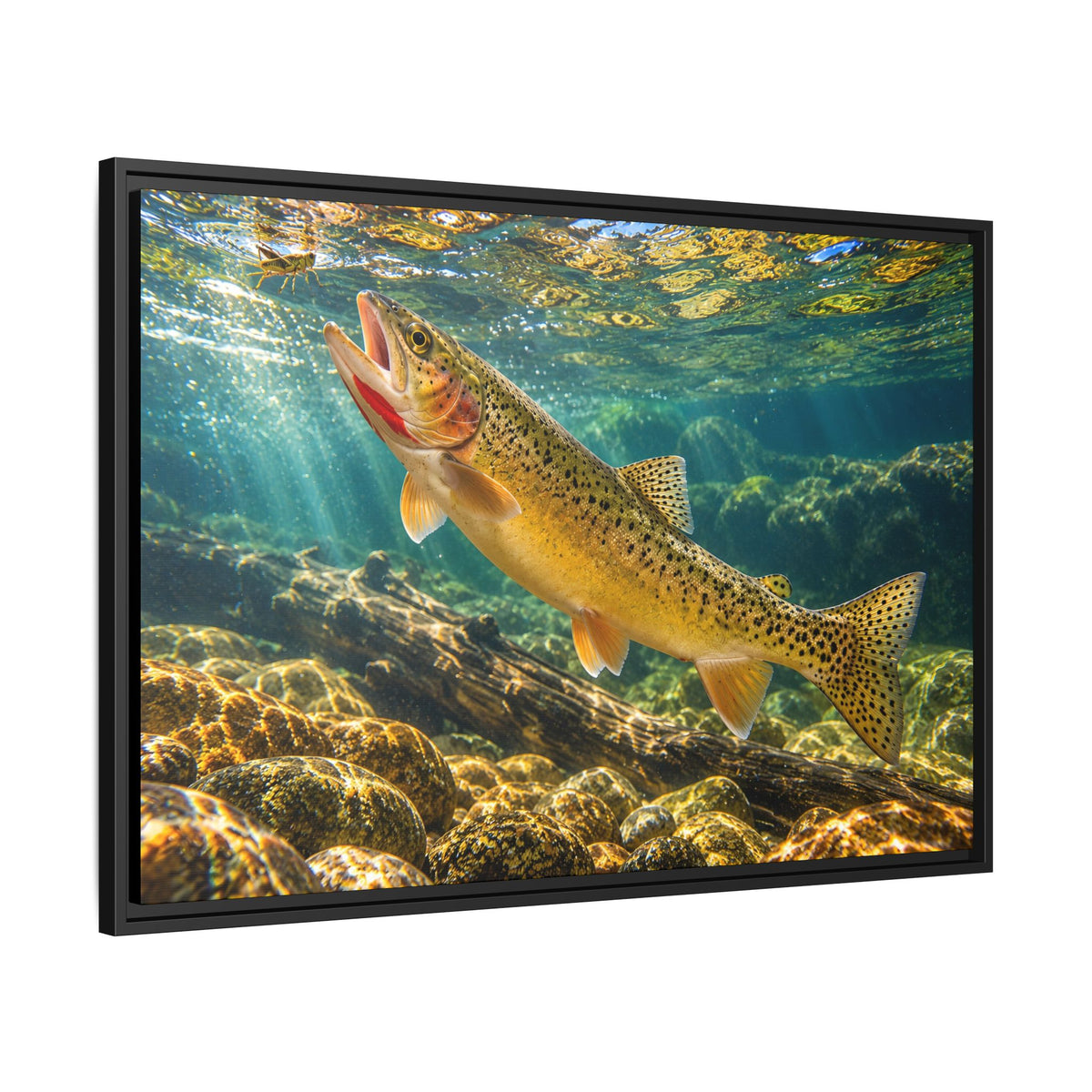 Rising to the Hopper Cutthroat Trout framed canvas, side angle