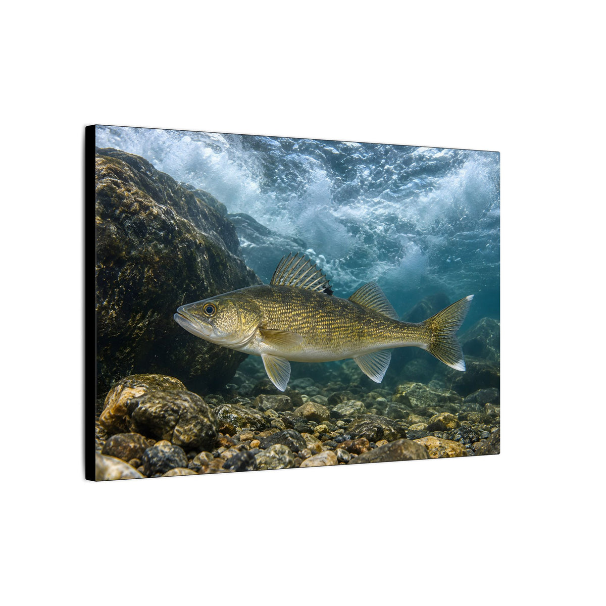 Tailwater Below the Dam Walleye canvas side angle