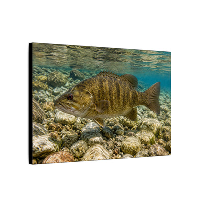 Rocky Riverbed Smallmouth Bass canvas wall art, view 4