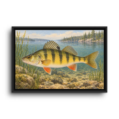 Field Guide Yellow Perch framed canvas wall art, view 2
