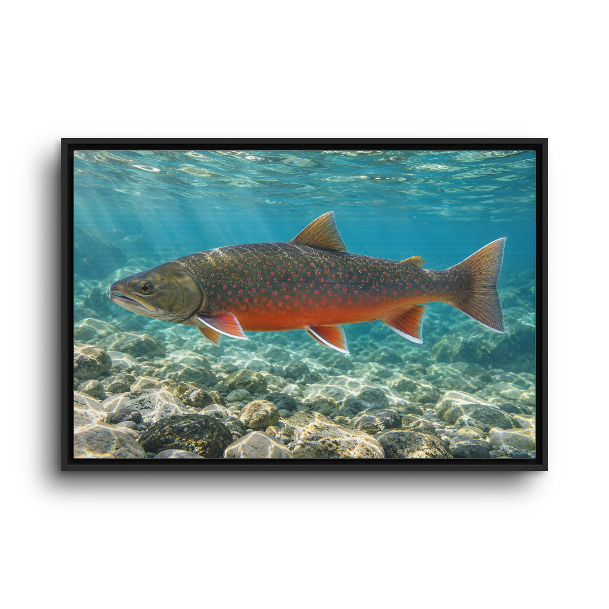 Arctic Ember Dolly Varden framed canvas wall art, view 3