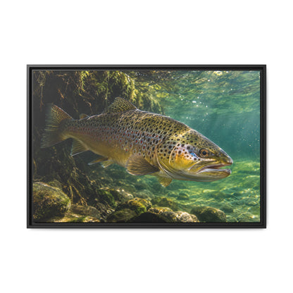 Granite Current Brown Trout framed canvas wall art