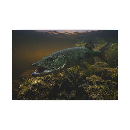Mouth Open Dusk Sky Muskie canvas, 24x16 size view