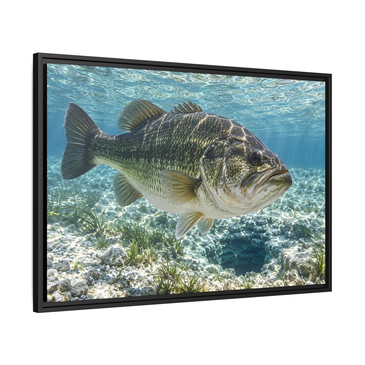 Crystal Spring Passage Largemouth Bass framed canvas side angle