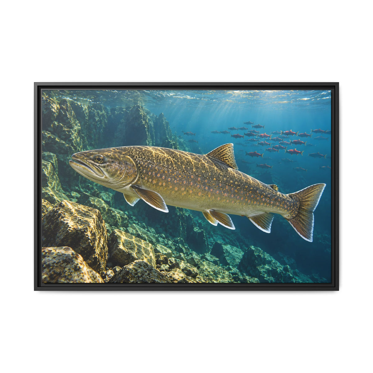 Pend Oreille Giant Bull Trout framed canvas, 36x24 size view