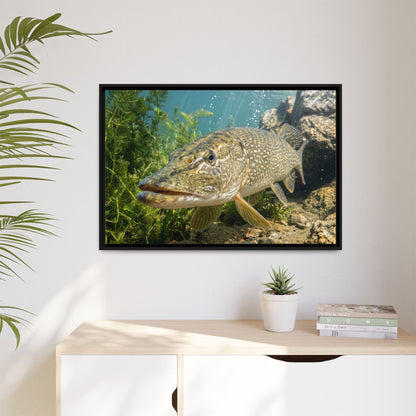 Northern Pike Clear Water Portrait Framed Canvas — Limited Edition Wall Art for Anglers