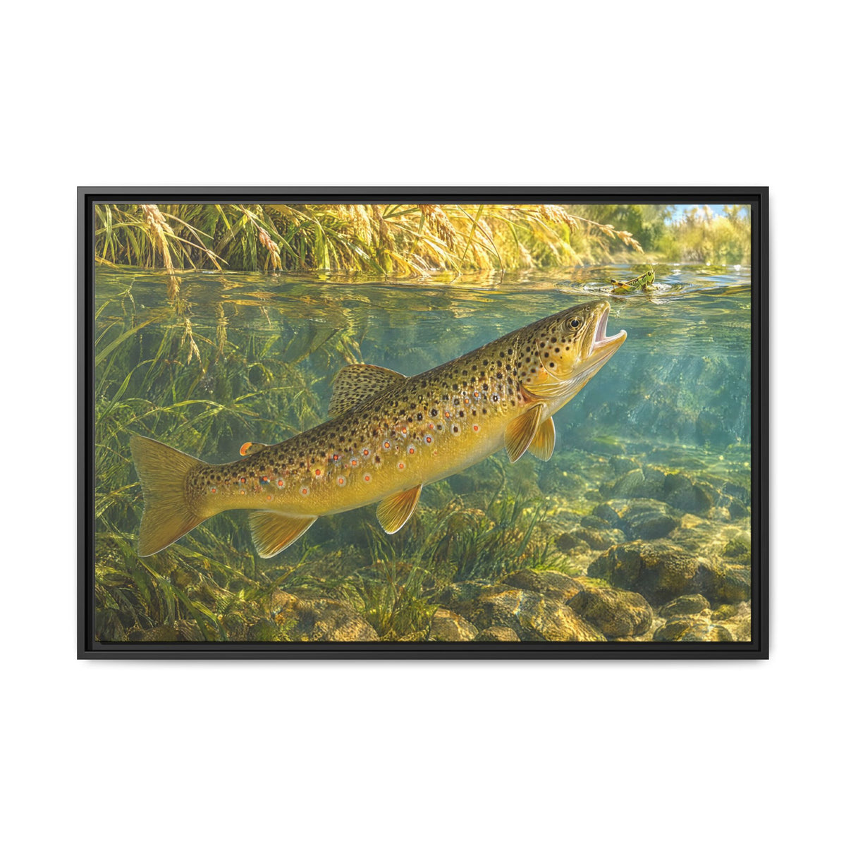 Hopper Season Brown Trout framed canvas, 18x12 size view