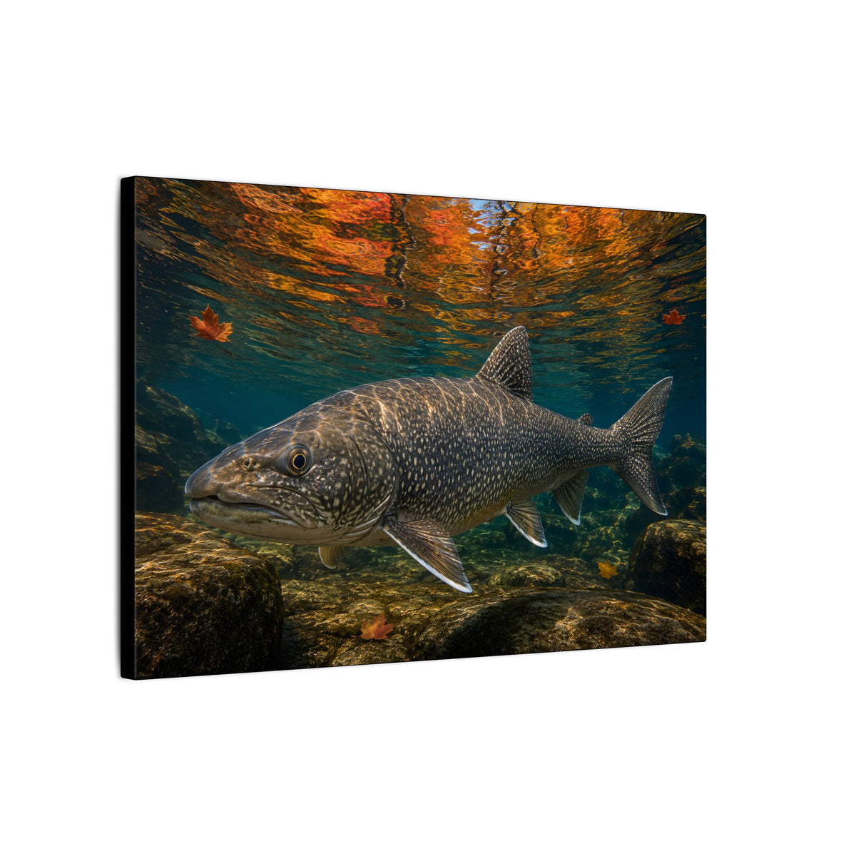 Autumn Granite Lake Trout canvas wall art, view 4