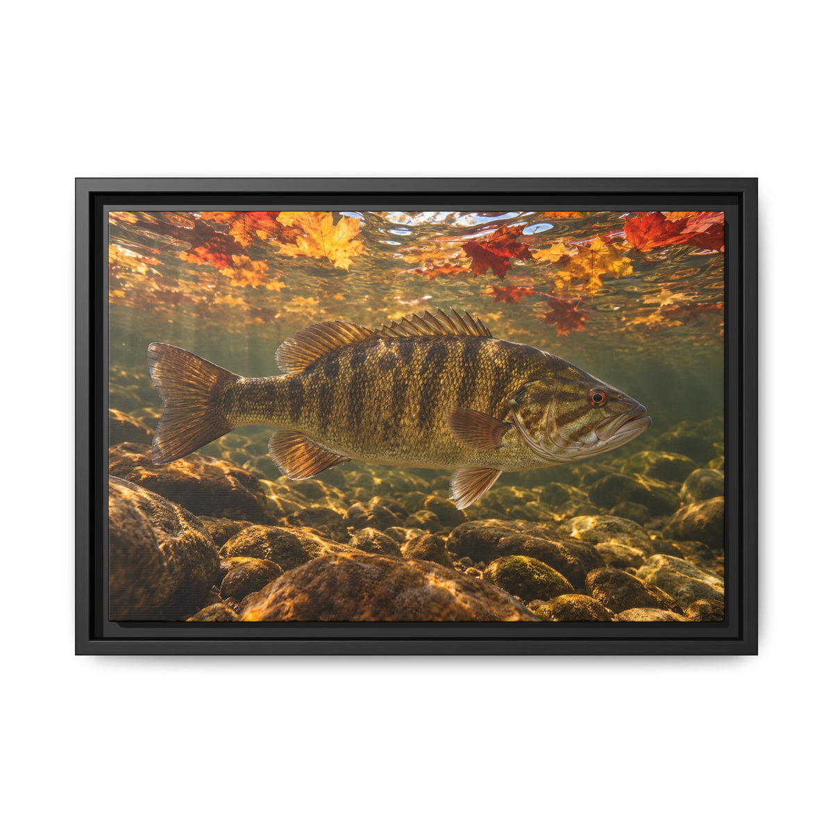 Autumn Bronze Smallmouth Framed Canvas wall art, view 2