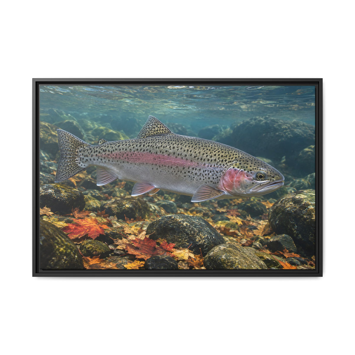 Autumn Rainbow Rainbow Trout framed canvas wall art