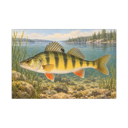 Field Guide Yellow Perch canvas wall art, view 2