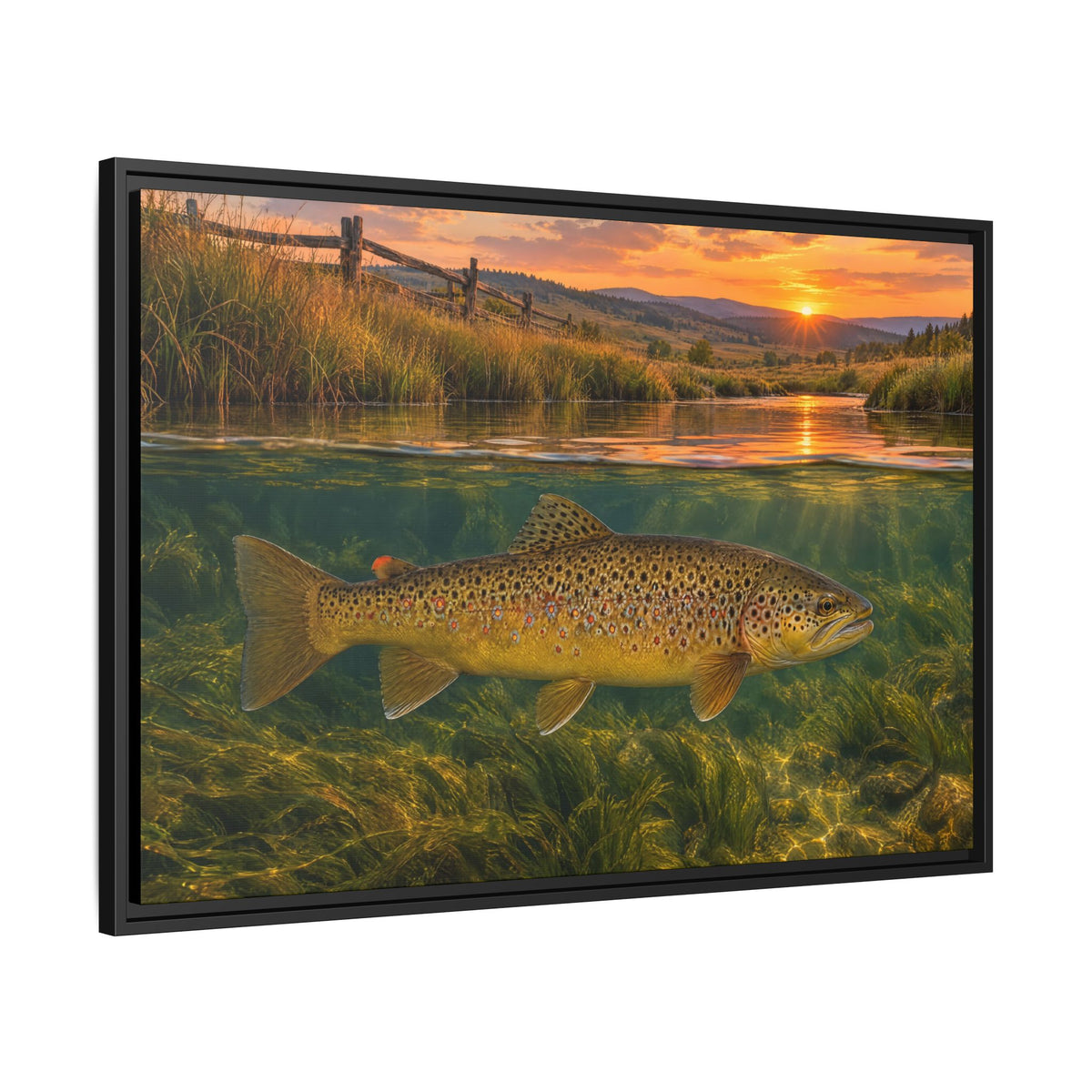 Meadow Over-Under Brown Trout framed canvas side angle