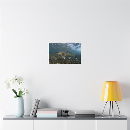 Cobbled Shallows Walleye canvas in a home office